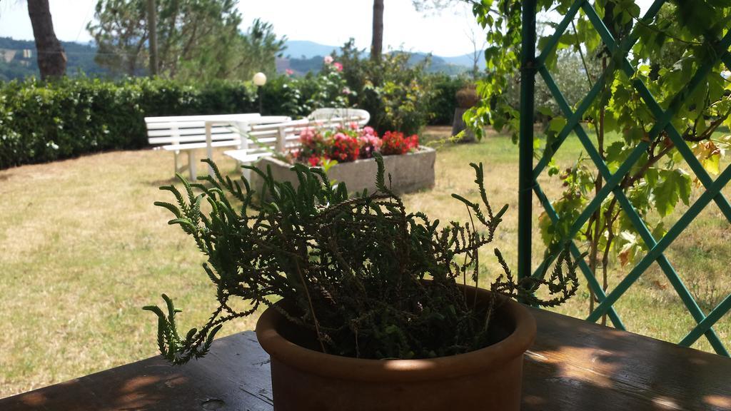 Agriturismo Il Catrino Ponteginori Kültér fotó
