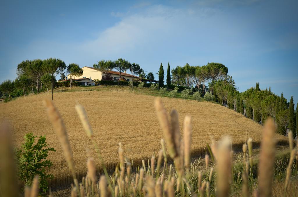 Agriturismo Il Catrino Ponteginori Kültér fotó