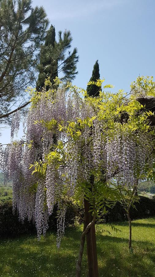 Agriturismo Il Catrino Ponteginori Kültér fotó