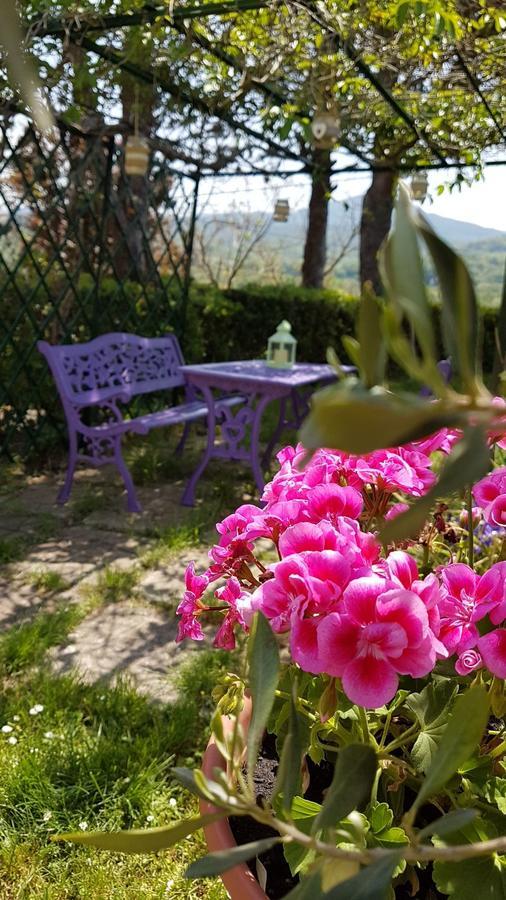 Agriturismo Il Catrino Ponteginori Kültér fotó